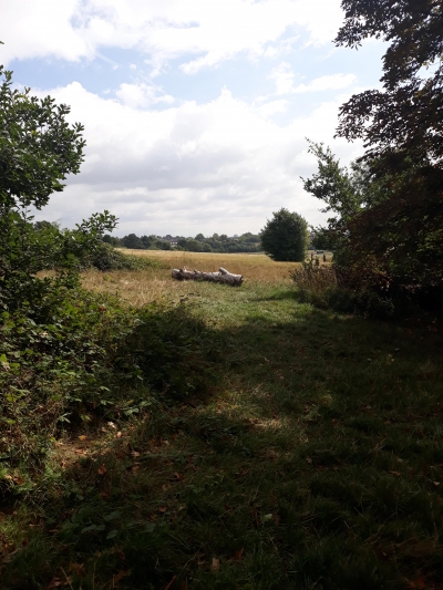 flat exchange in London