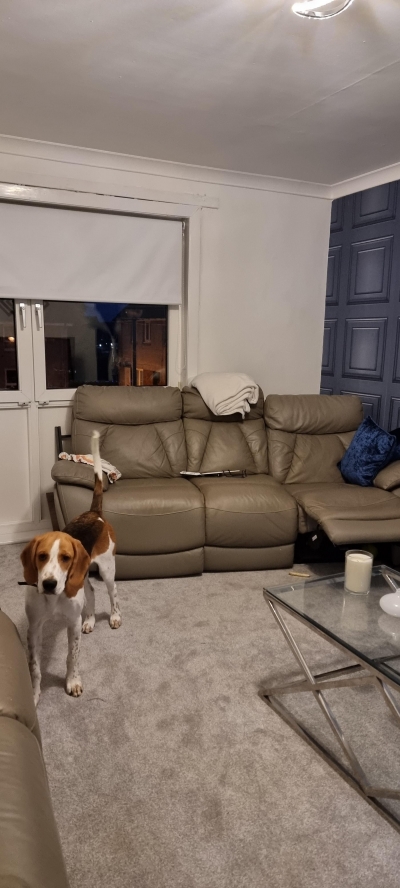 2 bedrooms house in Plains