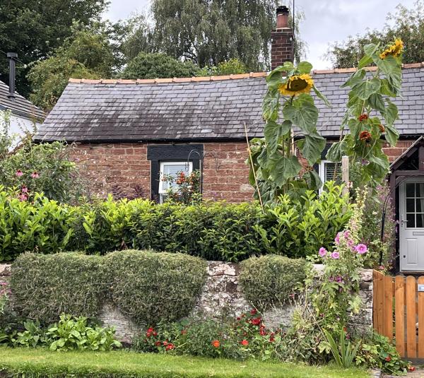 bungalow exchange in Cumwhitton