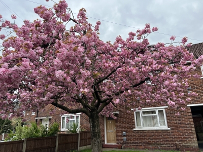 house exchange in Brookhouse