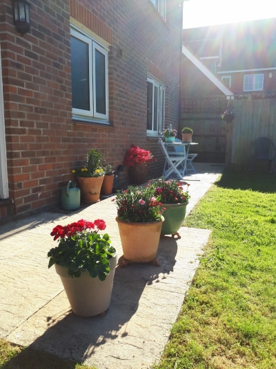 flat exchange in Guildford