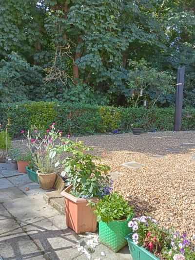 bungalow exchange in Cromer