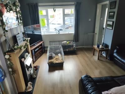2 bedrooms house in Chester