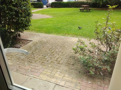 flat exchange in London