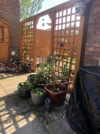 1 bedroom flat in Bordon